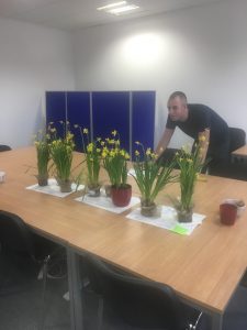 EBS Daffodil growing competition 2017: Judge Baker - judging!